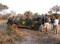 Game Drive